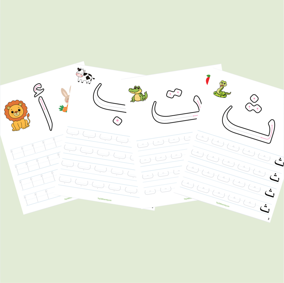 Tiny Talib Learning Box – Discover Arabic Letters Through Fun, Faith & Play (Box 1)